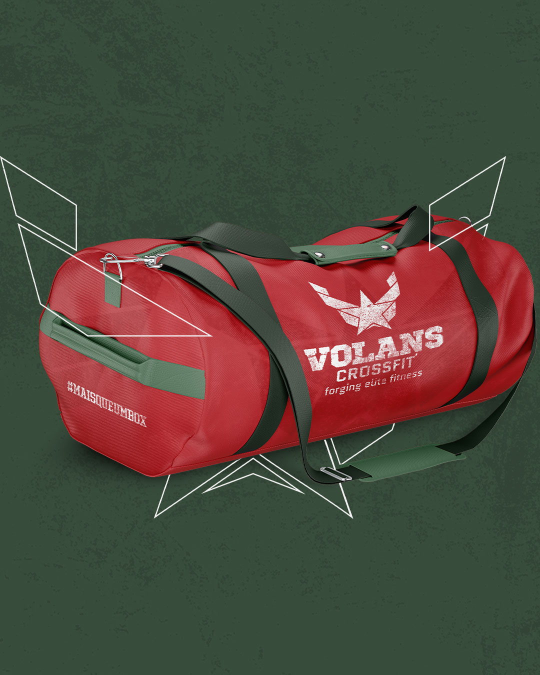 portifa_volans_02
